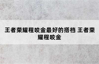 王者荣耀程咬金最好的搭档 王者荣耀程咬金